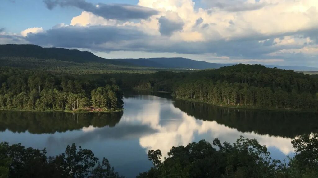 Reunion by the Water: Cherishing Moments with Loved Ones